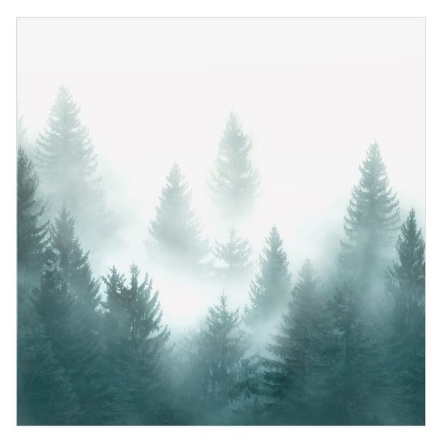 Péliculas para janelas Coniferous Forest In Fog