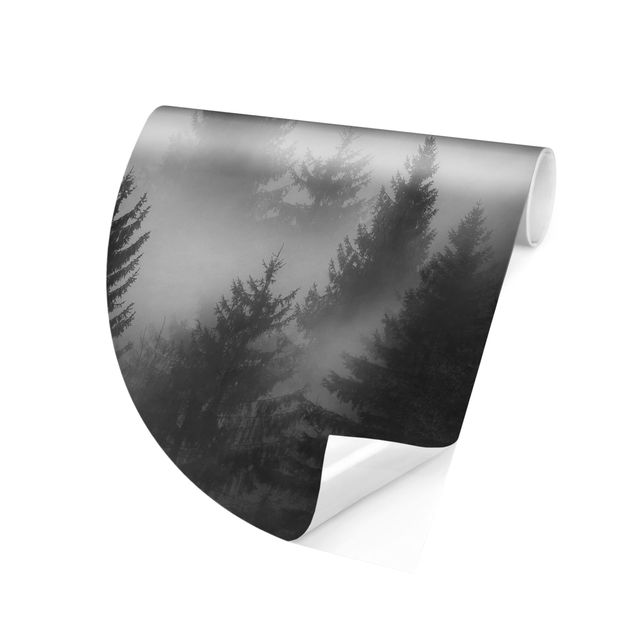 papel de parede moderno para sala Coniferous Forest In The Fog Black And White