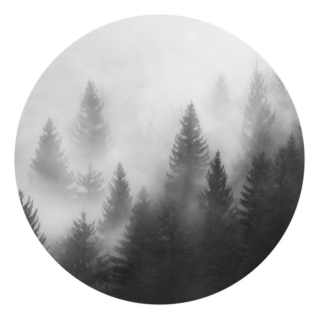 papel de parede branco e preto Coniferous Forest In The Fog Black And White