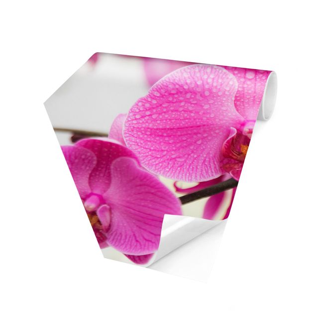 Papel de parede hexagonal Close-Up Orchid