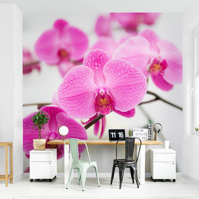 Papel de parede com flores Close-Up Orchid