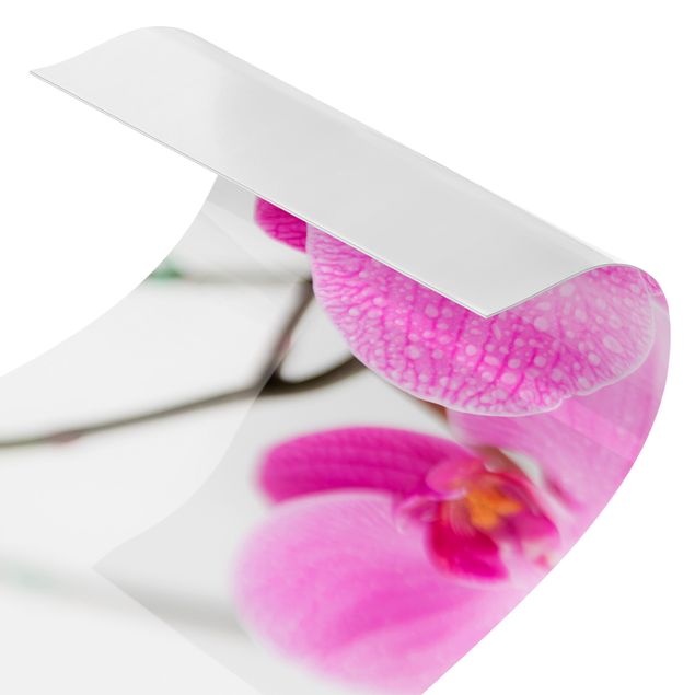 revestimento para cozinha Close-Up Orchid