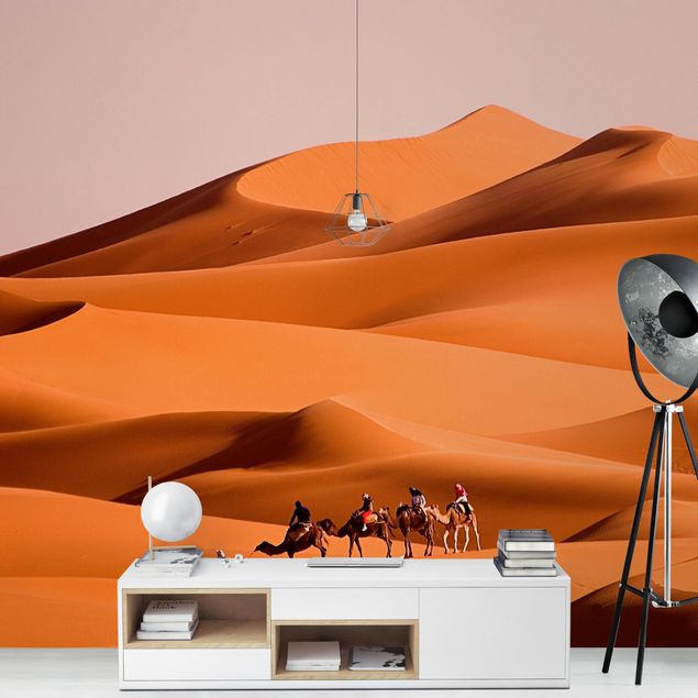 papel de parede moderno para sala Namib Desert