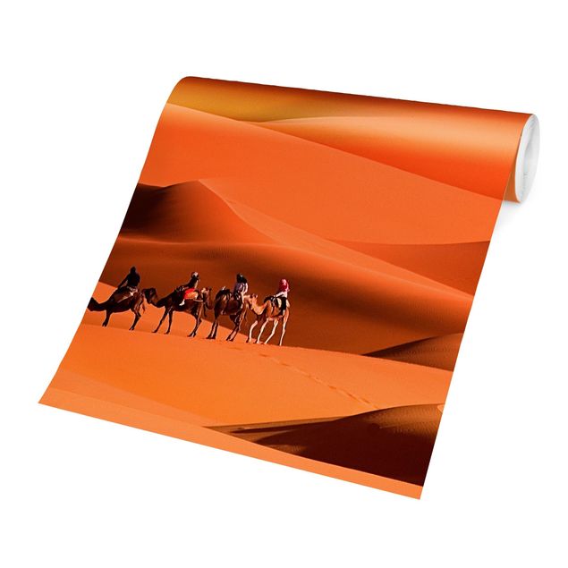 papel de parede com paisagem Namib Desert