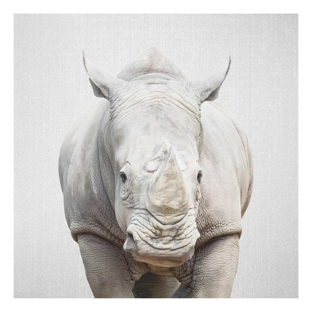 quadros preto e branco para decoração Rhinoceros Nora