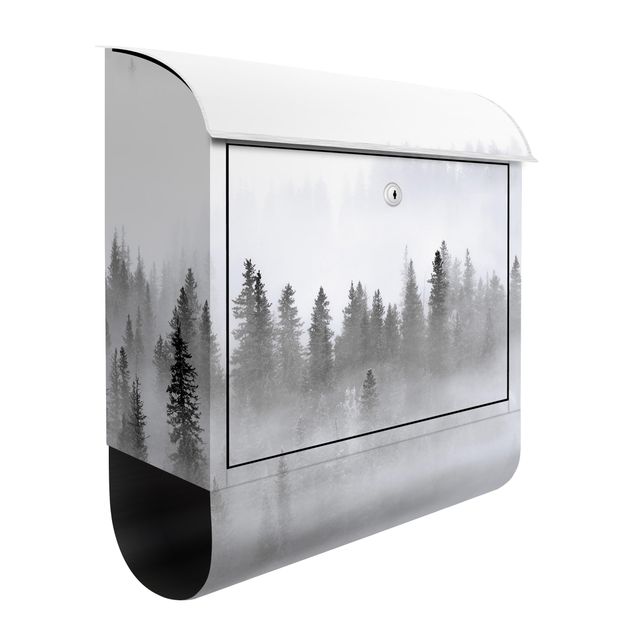 Caixas de correio em preto e branco Fog In The Fir Forest Black And White