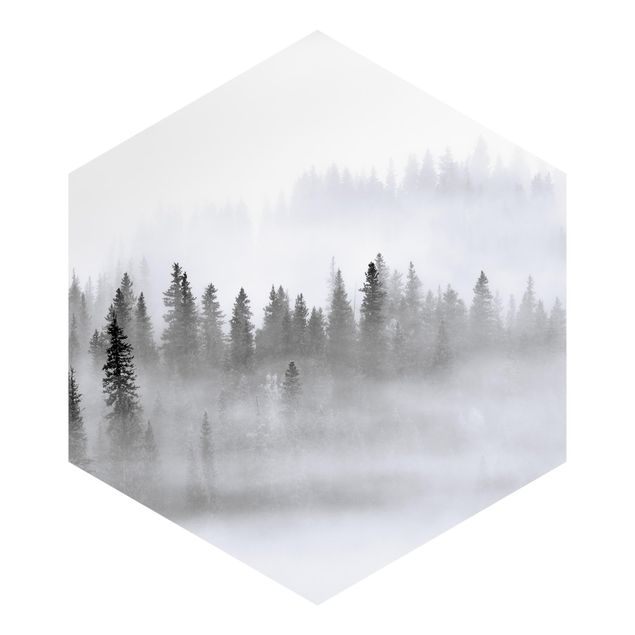 Papel de parede hexagonal Fog In The Fir Forest Black And White