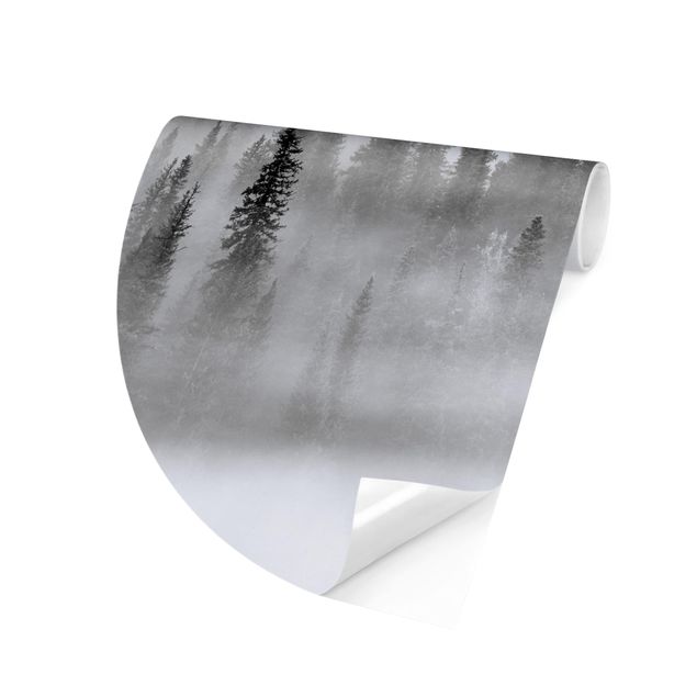 papel de parede moderno para sala Fog In The Fir Forest Black And White