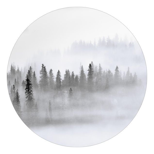 papel de parede branco e preto Fog In The Fir Forest Black And White