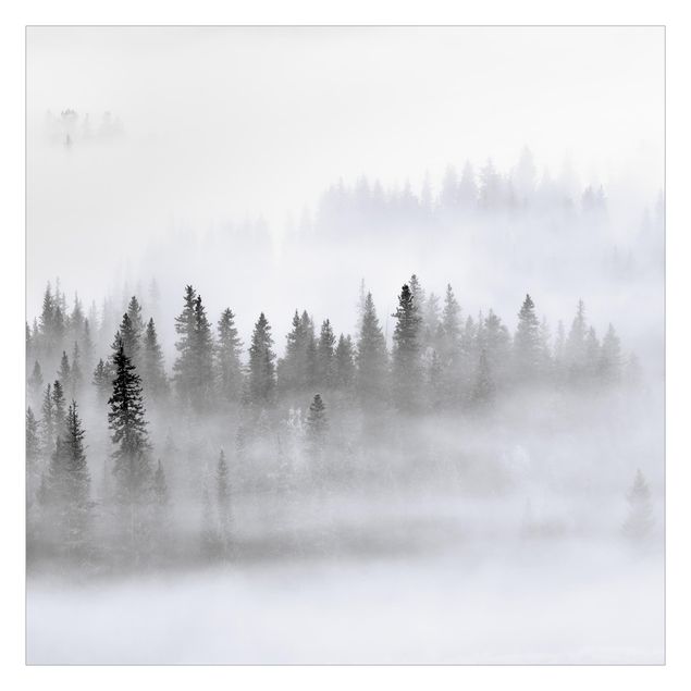 Mural de parede Fog In The Fir Forest Black And White
