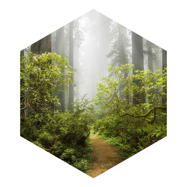 Quadros de Rainer Mirau Misty Forest Path