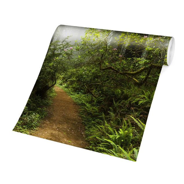 Papel de parede verde Misty Forest Path