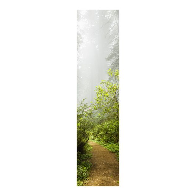 Painéis japoneses paisagens Misty Forest Path