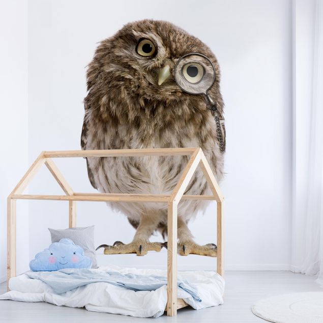 Decoração para quarto infantil Curious Owl