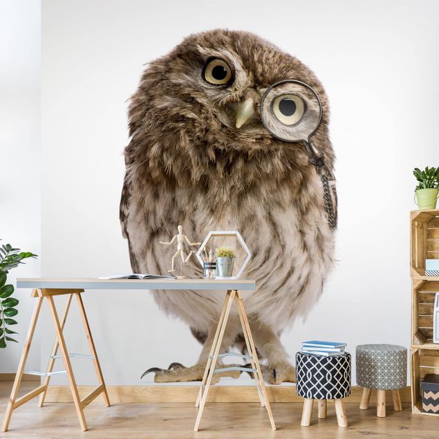 papel de parede moderno Curious Owl
