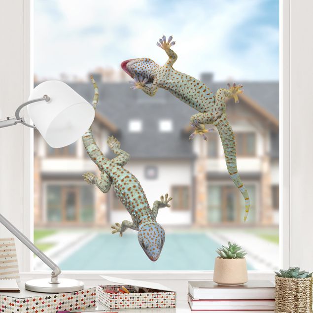 decoraçoes cozinha Curious Geckos
