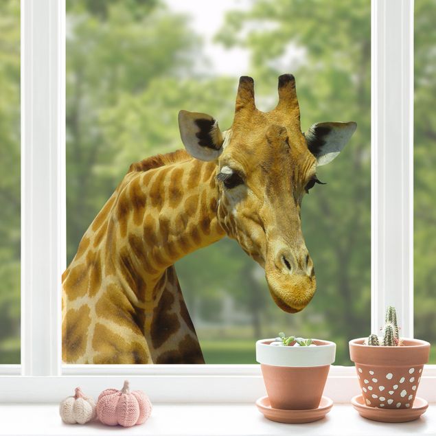 decoração quarto bebé Curious Giraffe