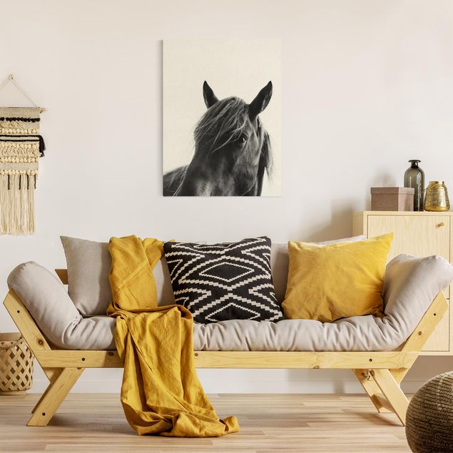 Telas decorativas réplicas de quadros famosos Curious Horse