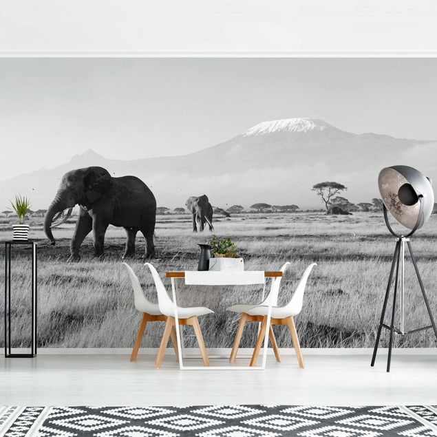 Papel de parede montanhas No.287 Elephant In Front Of The Kilimanjaro In Kenya II