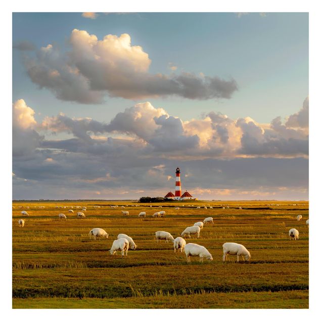 paisagens naturais papel de parede North Sea Lighthouse With Flock Of Sheep