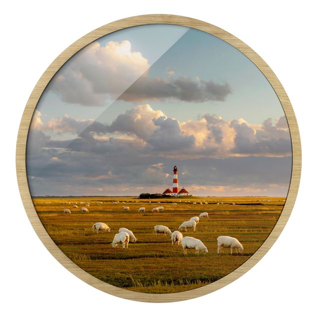Quadros com moldura paisagens North Sea Lighthouse With Flock Of Sheep