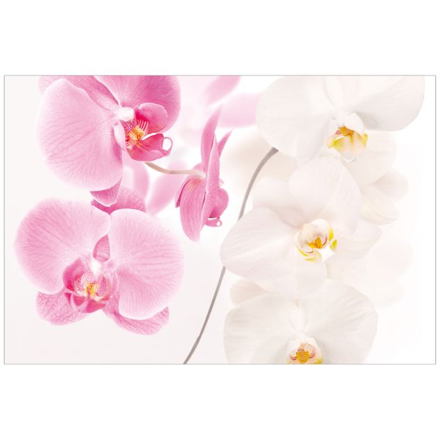 películas adesivas Delicate Orchids
