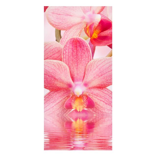 decoraçoes cozinha Light Pink Orchid On Water