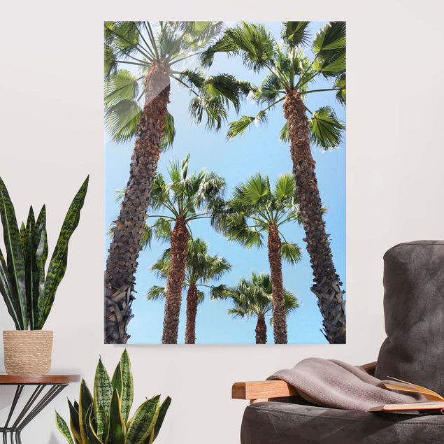 Quadros paisagens Palm Trees At Venice Beach