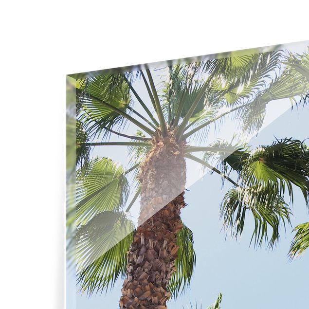 quadro azul Palm Trees At Venice Beach