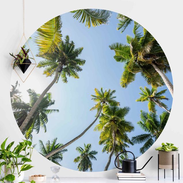 decoraçao para parede de cozinha Palm Tree Canopy