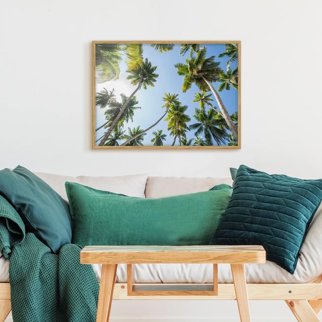 quadros de paisagens Palm Tree Canopy