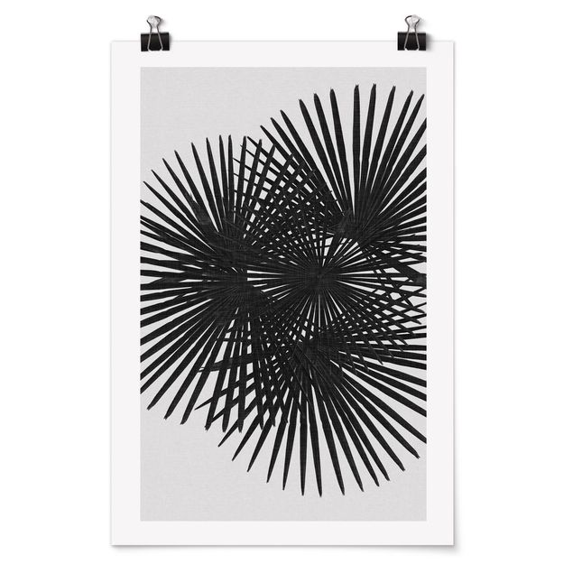 Posters flores Palm Leaves In Black And White
