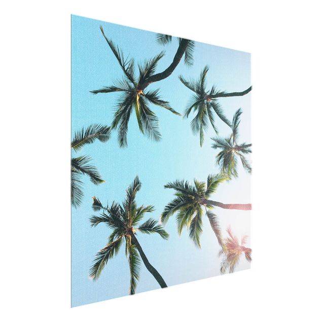 Quadros em vidro praia Gigantic Palm Trees In The Sky