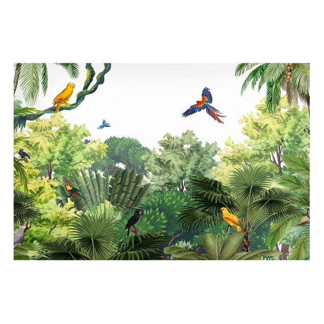 quadro de árvore Papageienparade im Dschungel
