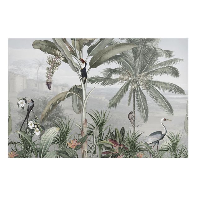 quadro de árvore Paradiesvögel im Dschungelpanorama