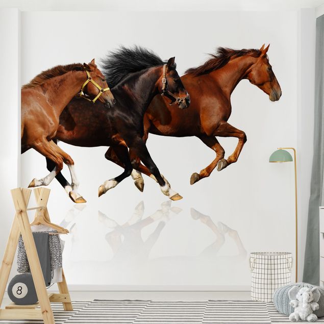 papel de parede com cavalo Horse Herd
