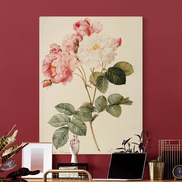 Telas decorativas rosas Pierre Joseph Redoute - Rosa Damascena