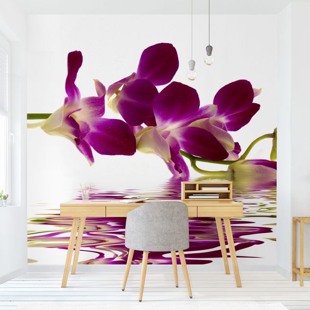 papel de parede para quarto de casal moderno Pink Orchid Waters