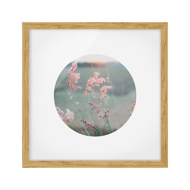 quadro com flores Pink Flowers In A Circle