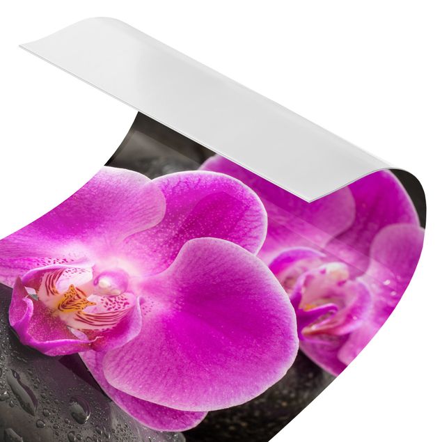 Revestimento de parede para duche Pink Orchid Flower On Stones With Drops