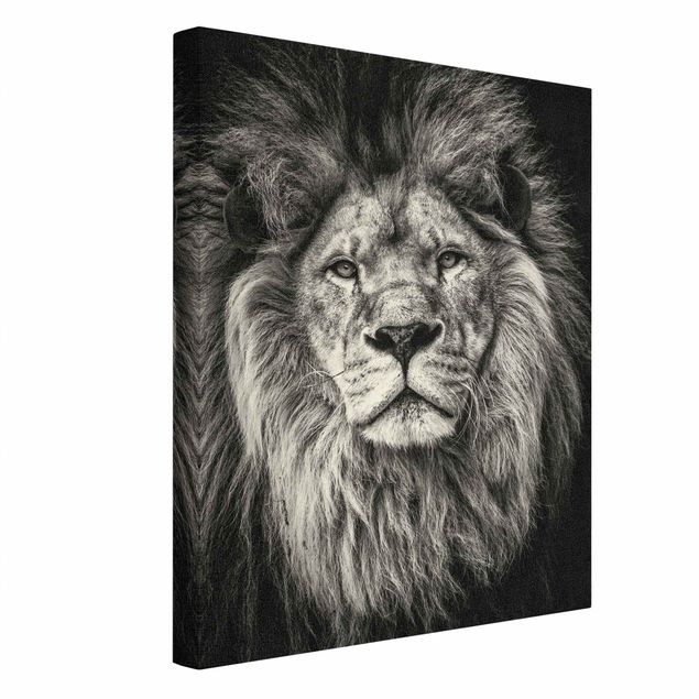 Quadros decorativos Portrait Lion Black And White
