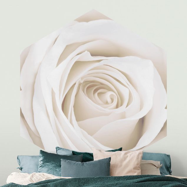 papel parede rosas Pretty White Rose