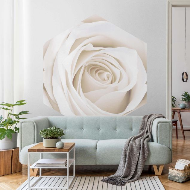 papel de parede para quarto de casal moderno Pretty White Rose