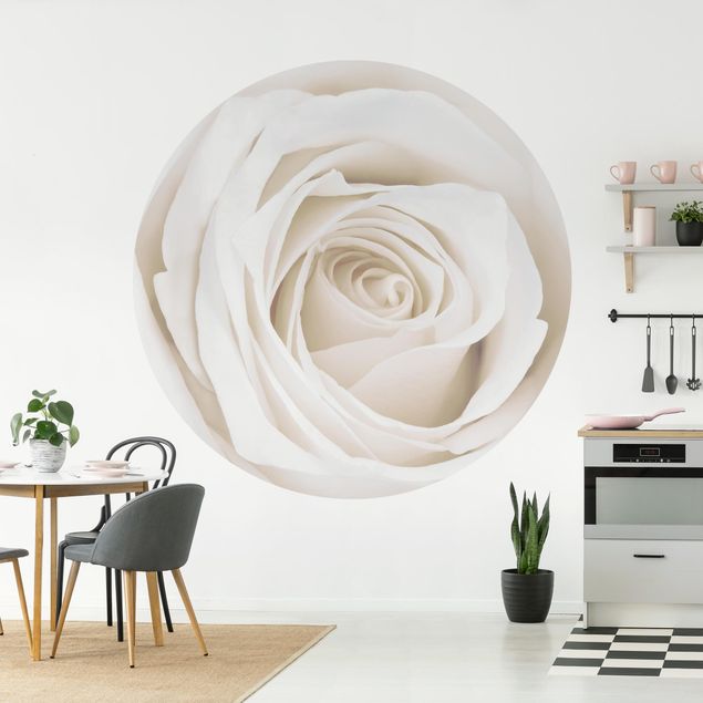 Papel de parede rosas Pretty White Rose