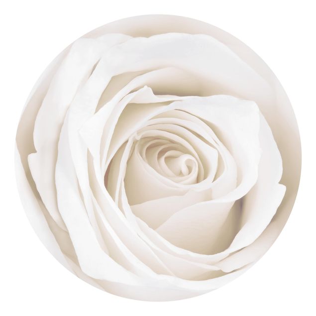 Papel de parede rústico Pretty White Rose