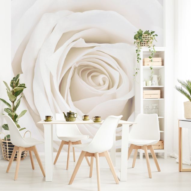 papel de parede moderno para sala Pretty White Rose