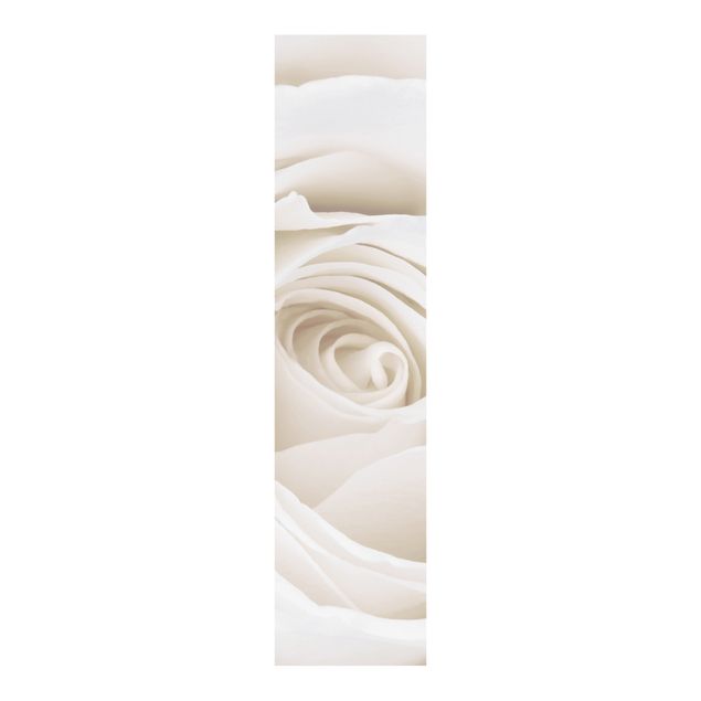 Painéis deslizantes flores Pretty White Rose