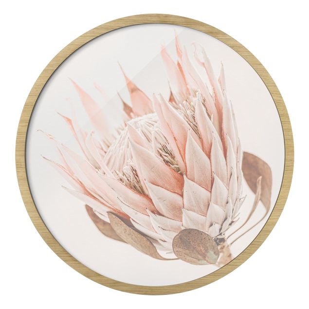 Quadros decorativos Protea Queen Of Flowers