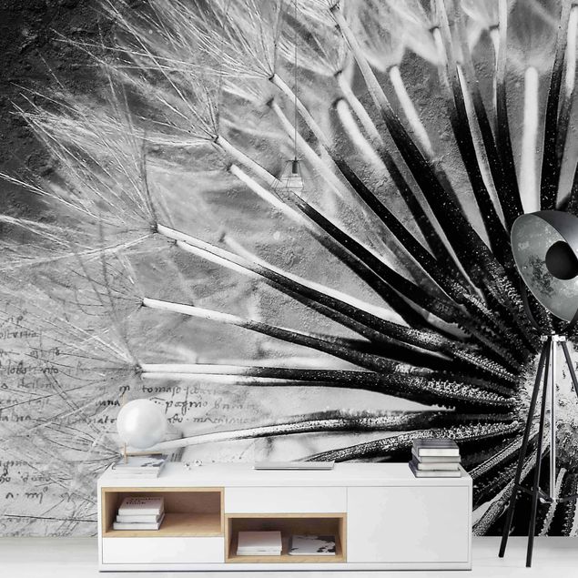 papel de parede moderno Dandelion Black & White
