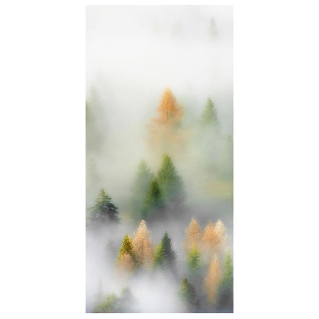 Divisórias de ambiente Cloud Forest In Autumn
